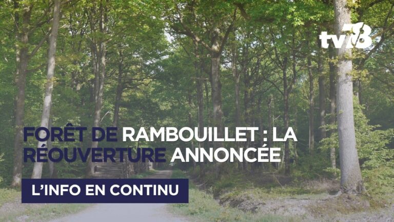 Forêt de Rambouillet : la Préfecture des Yvelines annonce la réouverture des secteurs fermés pour les chenilles processionnaires