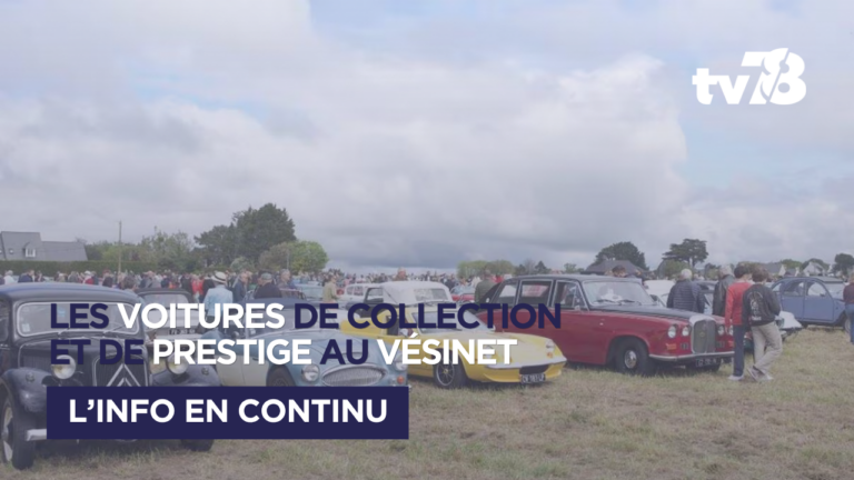 Vési-Rétro 2026 : les voitures de collection reviennent au Parc des Ibis du Vésinet