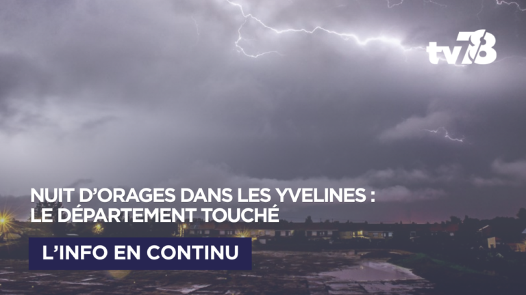 Yvelines : arbres couchés, coupures d&rsquo;électricité et trains perturbés après une nuit d&rsquo;orages