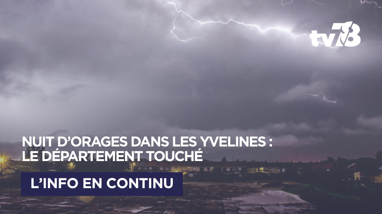 Yvelines : arbres couchés, coupures d&rsquo;électricité et trains perturbés après une nuit d&rsquo;orages
