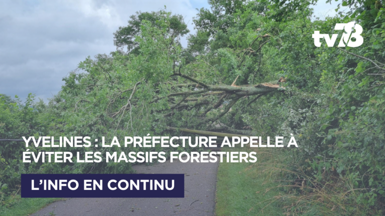 Les Yvelines en état d&rsquo;alerte après les violents orages : la préfecture appelle à éviter les massifs forestiers