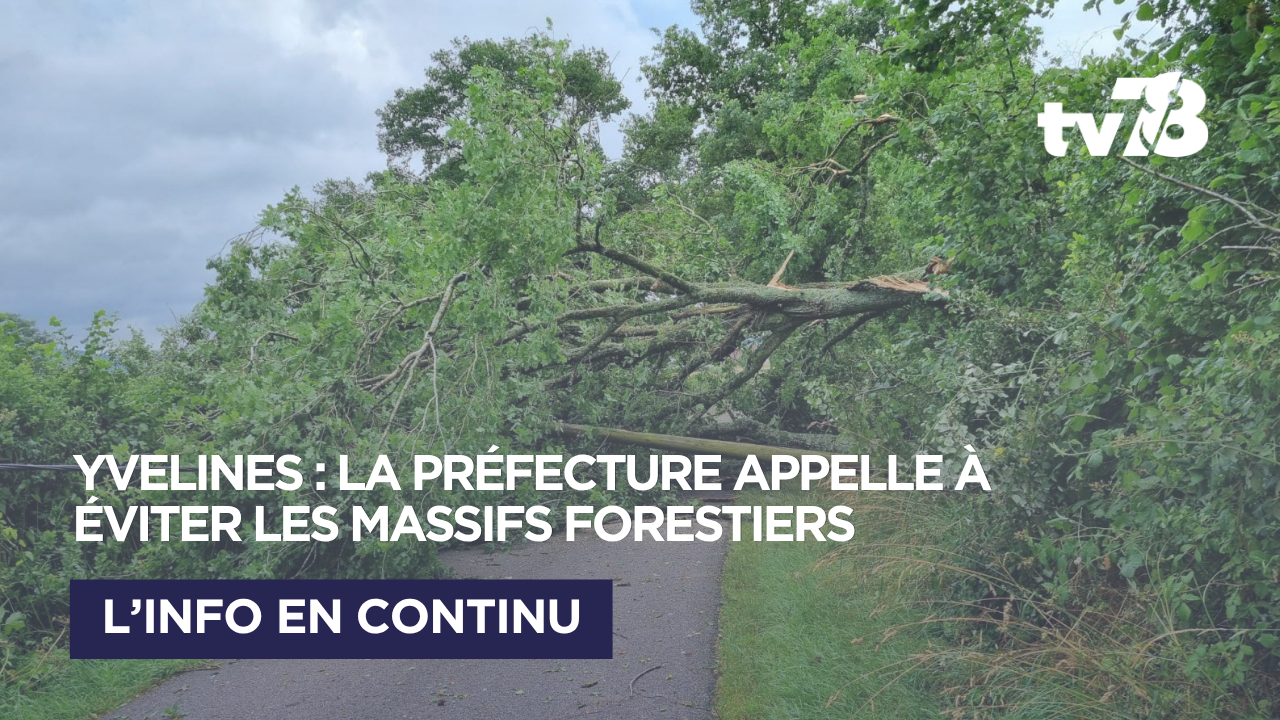 Les Yvelines en état d&rsquo;alerte après les violents orages : la préfecture appelle à éviter les massifs forestiers