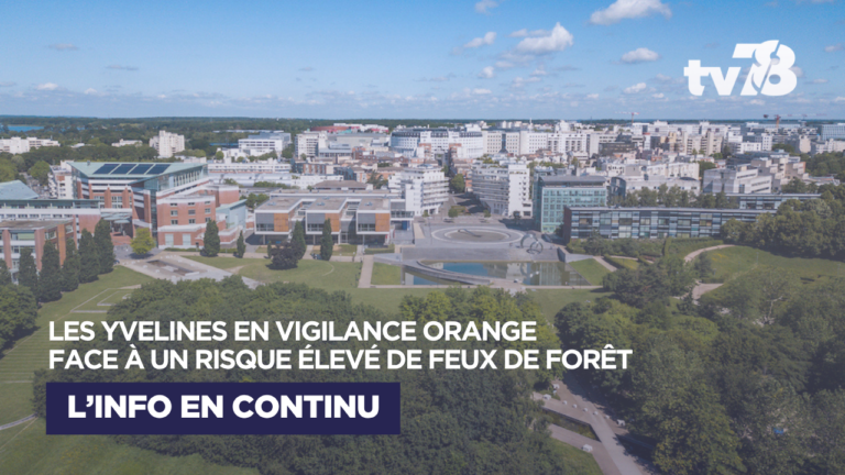 Yvelines : vigilance orange pour un risque élevé de feux de forêt dès ce mercredi 29 juillet