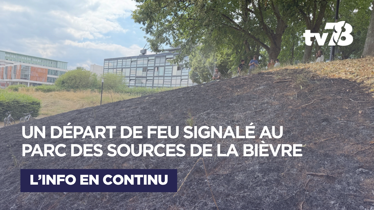 Guyancourt : un départ de feu signalé au parc des Sources de la Bièvre