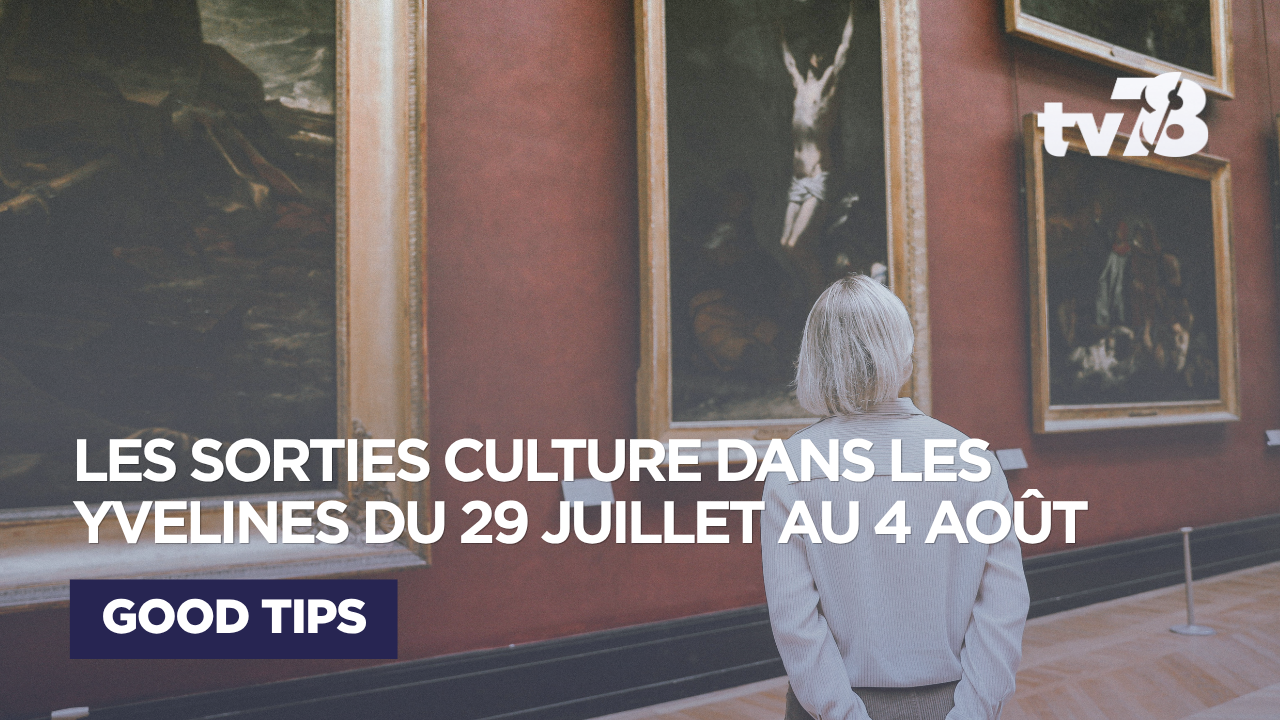 Sorties culturelles Yvelines : que faire du 29 juillet au 4 août ?