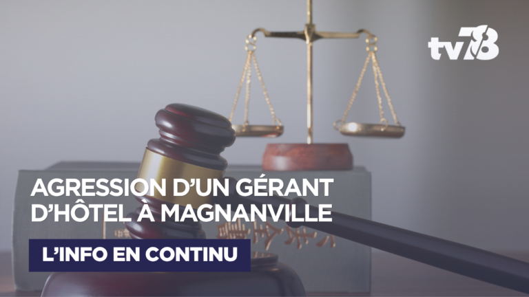 Yvelines  : 4 ans de prison ferme contre des jeunes de Mantes-la-Jolie pour avoir roué de coups le gérant d’un hôtel