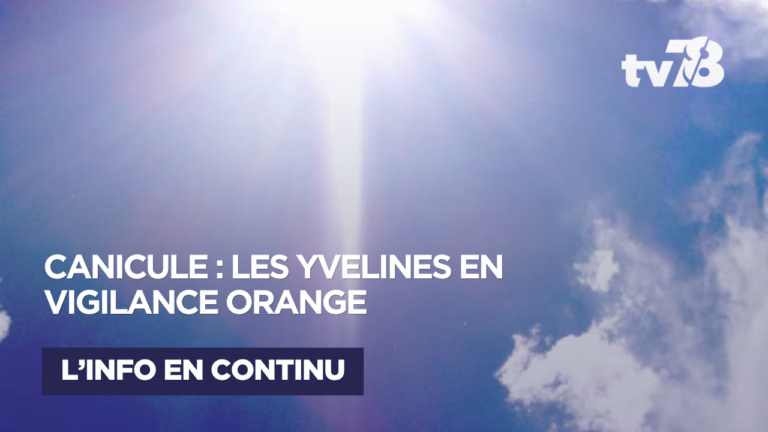 Canicule : les Yvelines passent en vigilance orange dès ce mardi à 12h