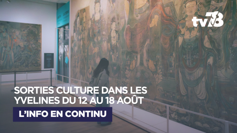Sorties culturelles Yvelines : que faire du 12 au 18 août ?