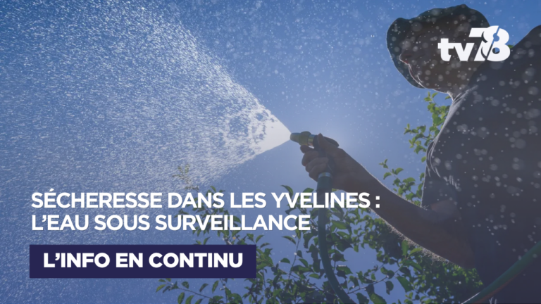 Sécheresse dans les Yvelines : la zone Sud-Est passe en crise, de nouvelles restrictions entrent en vigueur