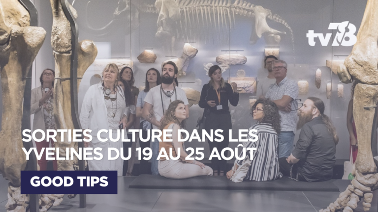 Sorties culturelles Yvelines : que faire du 19 au 25 août ?