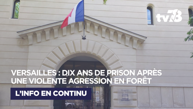 Versailles : dix ans de prison pour une violente agression en forêt
