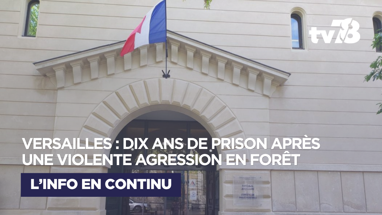 Versailles : dix ans de prison pour une violente agression en forêt