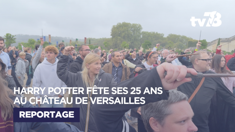 Harry Potter au château de Versailles : Retour à Poudlard pour les 25 ans du premier film
