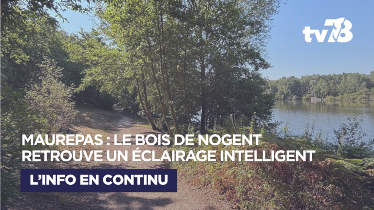 À Maurepas, le Bois de Nogent retrouve la lumière grâce à un éclairage intelligent