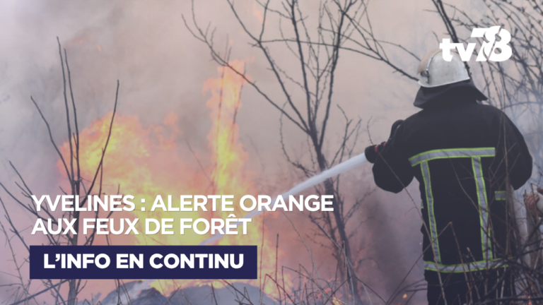 Yvelines : le risque de feux de forêt passe au niveau orange les 11 et 12 août