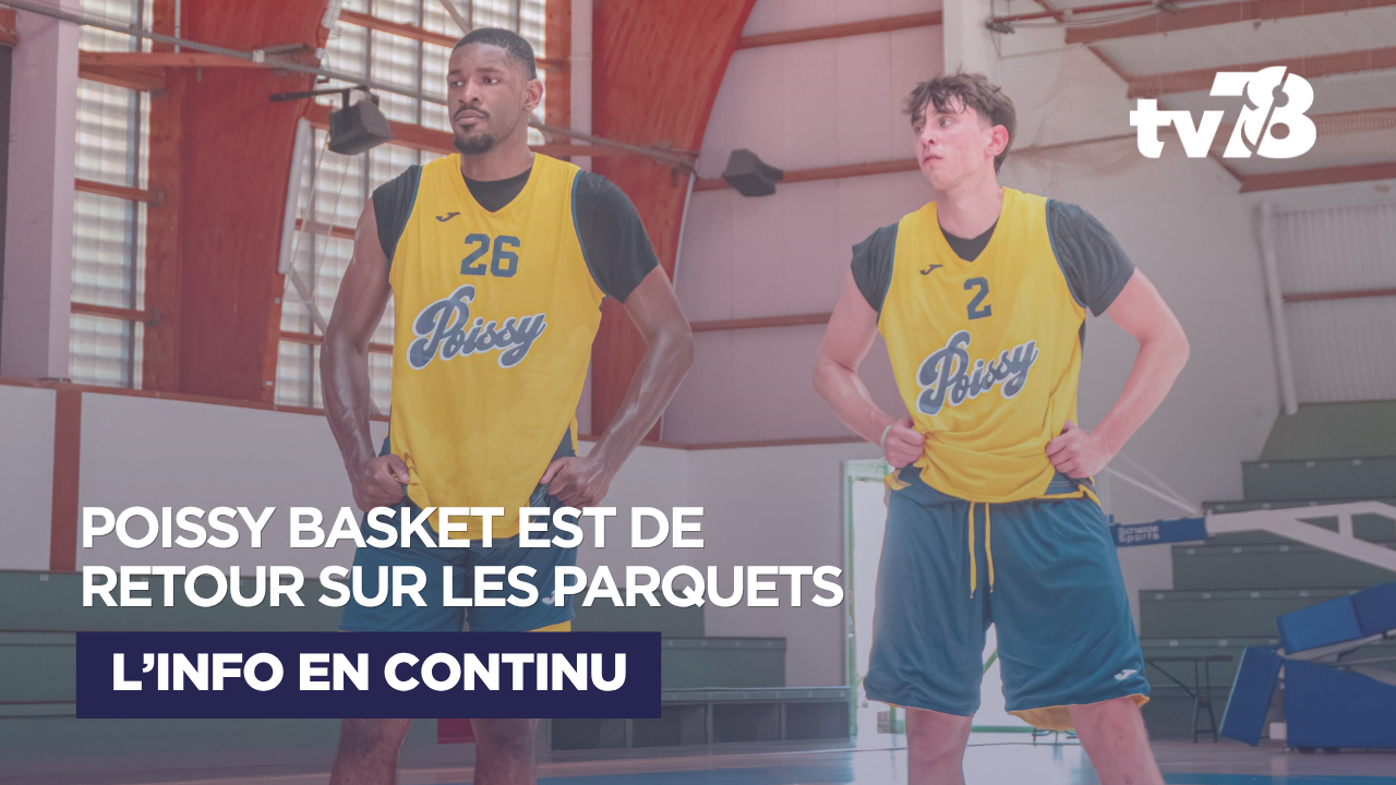 Poissy Basket : la Nationale 2 lance sa préparation avec un choc face à une équipe de NCAA en ligne de mire