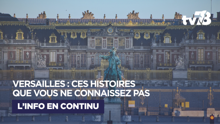 Versailles Insolite : ces histoires méconnues qui racontent une autre cité royale