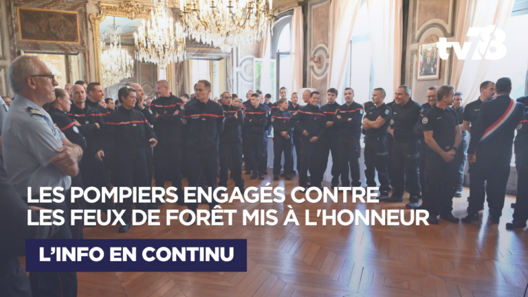 Des Yvelines aux incendies de l’été : les pompiers du 78 mis à l’honneur après leur mobilisation