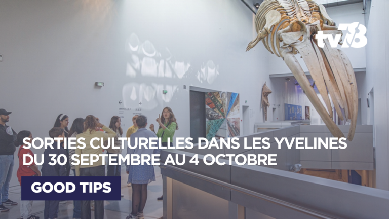 Sorties culturelles Yvelines : que faire du 30 septembre au 4 octobre 2026 ?