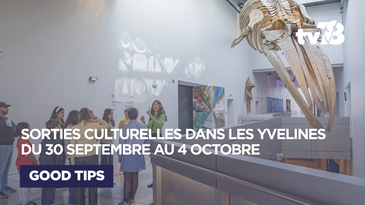 Sorties culturelles Yvelines : que faire du 30 septembre au 4 octobre 2026 ?