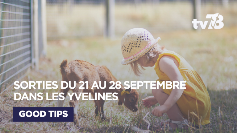 Agenda enfants Yvelines : 5 sorties du 21 au 28 septembre 2026