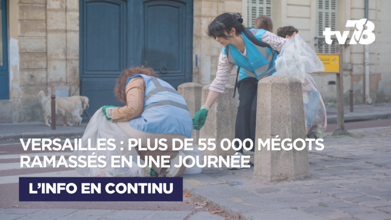 Versailles : plus de 55 000 mégots ramassés lors d’une grande opération de nettoyage