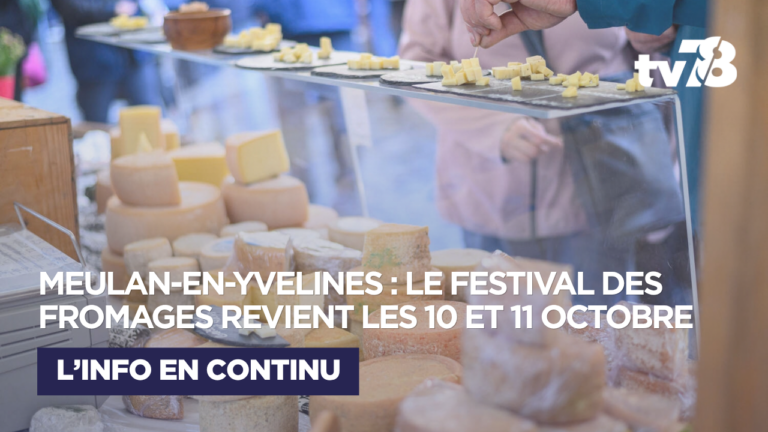 Meulan-en-Yvelines : près de 300 variétés à découvrir au Festival des Fromages