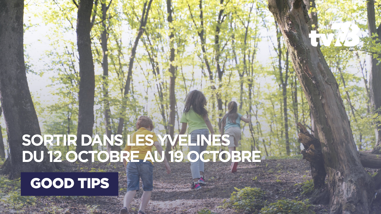 Agenda enfants Yvelines : 5 sorties du 12 au 19 octobre