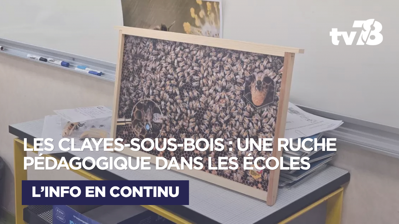 Aux Clayes-sous-Bois, une ruche pédagogique s&rsquo;invite dans les écoles pour sensibiliser les élèves à la biodiversité