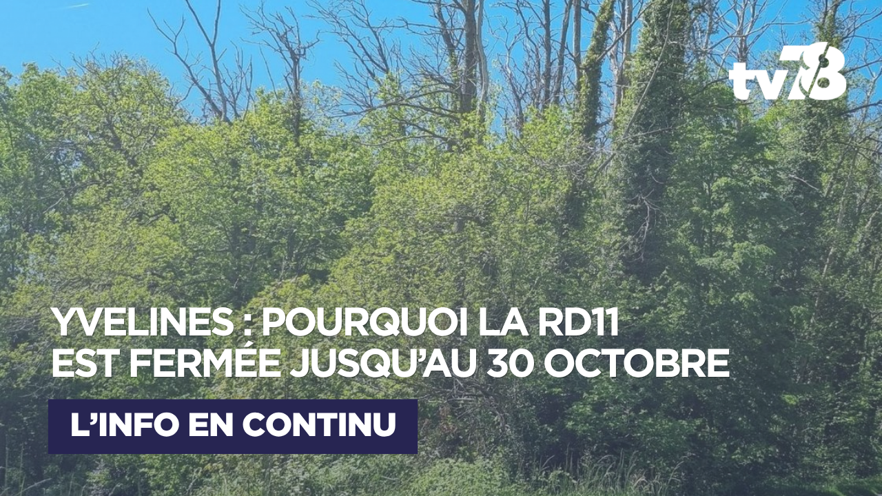 Yvelines : la RD11 fermée entre Goupillières et Septeuil pour sécuriser la forêt