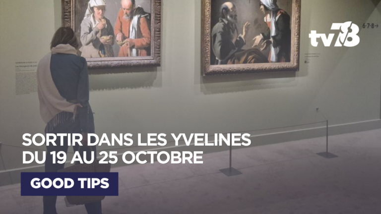Agenda enfants Yvelines : 5 sorties du 19 au 25 octobre 2026