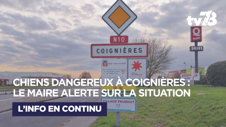 Chiens dangereux à Coignières : le maire dénonce une situation bloquée et alerte sur la sécurité des habitants