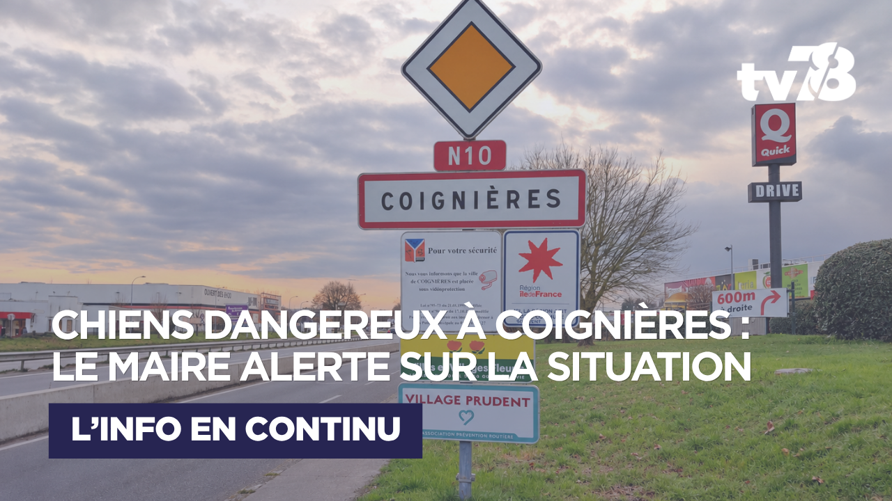Chiens dangereux à Coignières : le maire dénonce une situation bloquée et alerte sur la sécurité des habitants