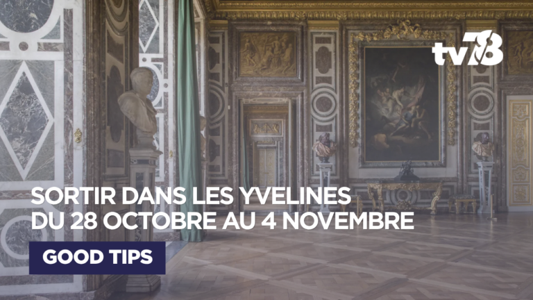 Sorties culturelles Yvelines : que faire du 28 octobre au 4 novembre 2026 ?