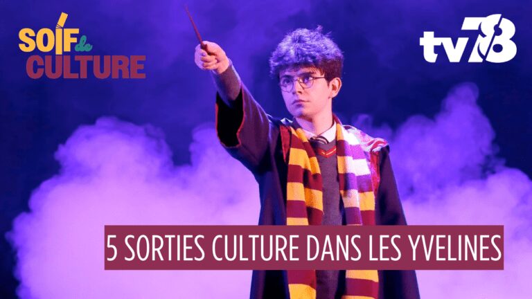 Image pour le début du Tweet: 🎶 Que faire dans les