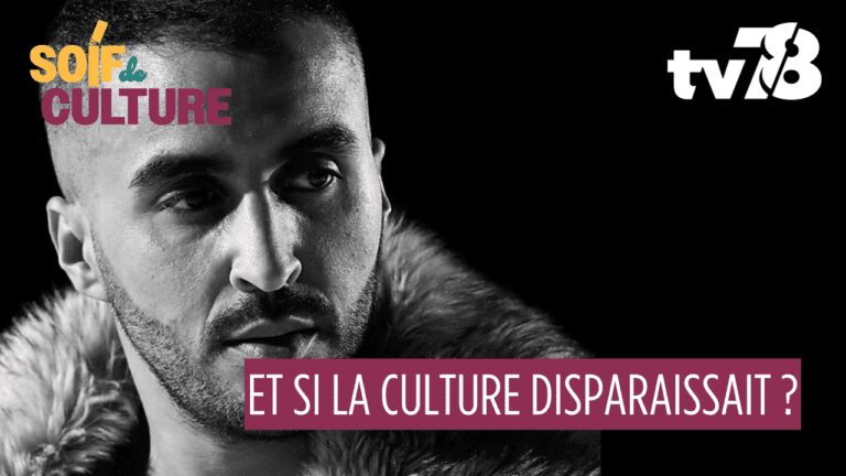 Image pour le début du Tweet: 🎭 Guyancourt : “Dividus”, un