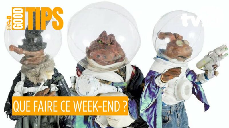 Image pour le début du Tweet: Vous ne savez pas quoi