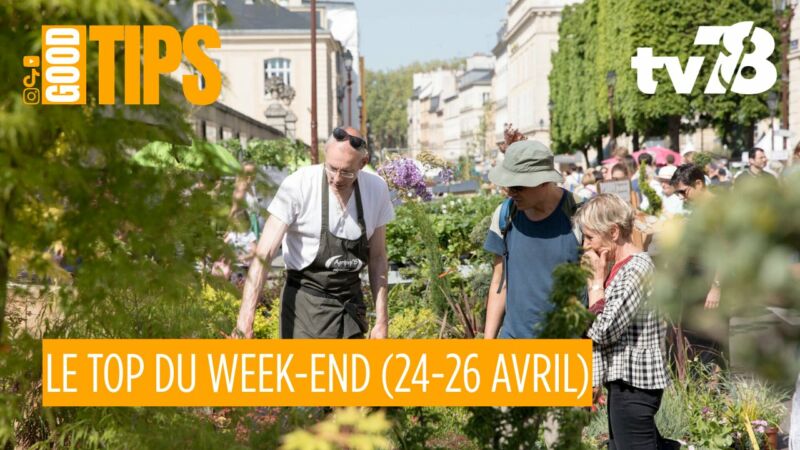 Image pour le début du Tweet: Vous cherchez quoi faire ce