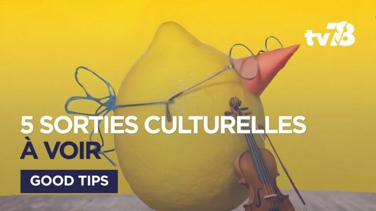 Image for the Tweet beginning: 🎭 Entre concert en apesanteur,