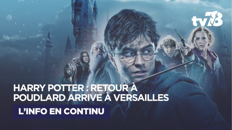 Image for the Tweet beginning: 🪄 Harry Potter fête ses