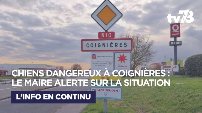 Image for the Tweet beginning: 🚨 Chiens dangereux à Coignières